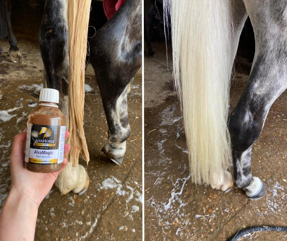 AlvaMagic Stain Remover