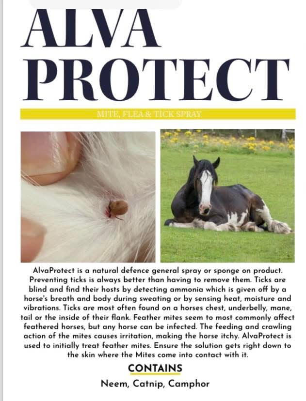 AlvaProtect Horse