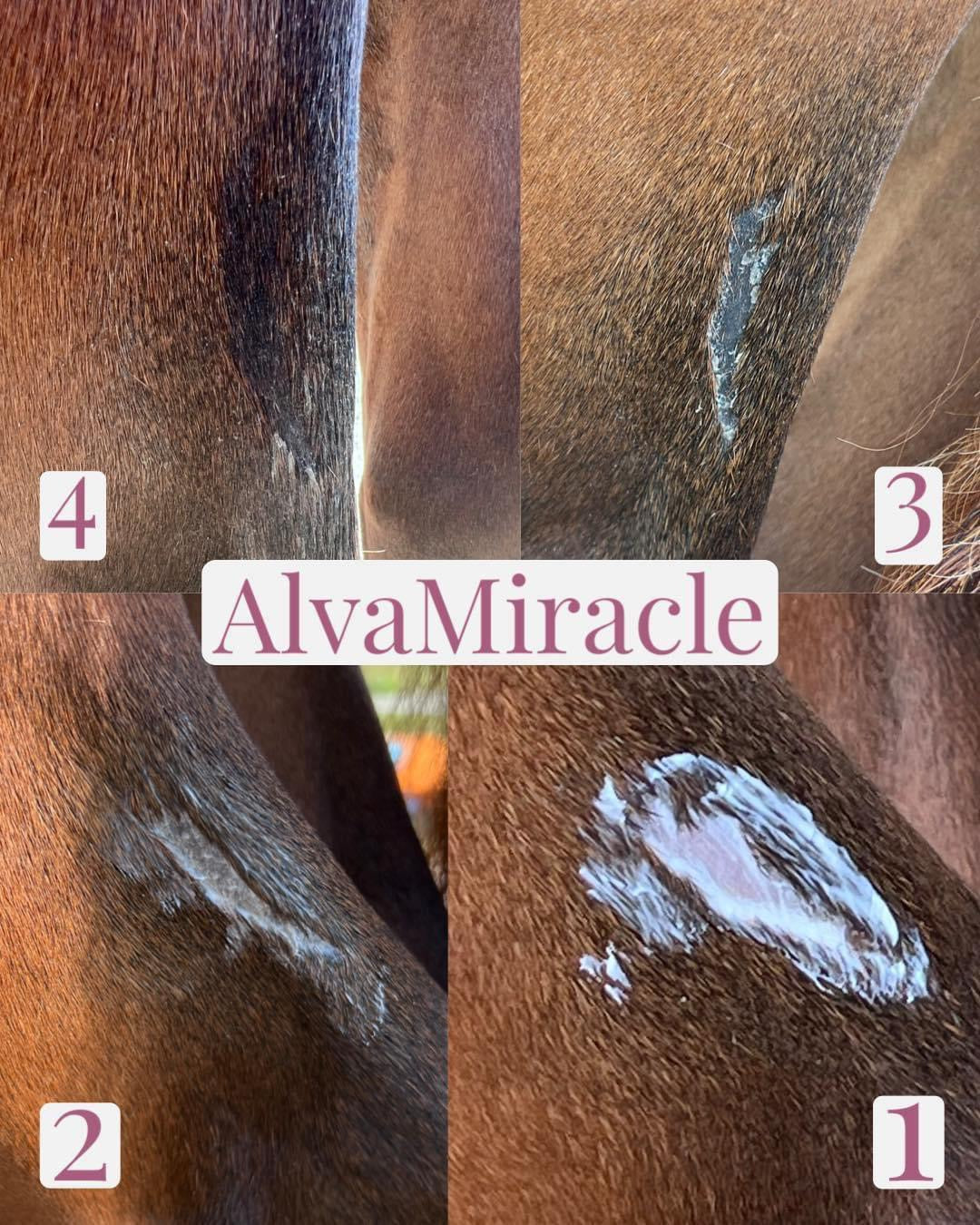 AlvaMiracle Cream