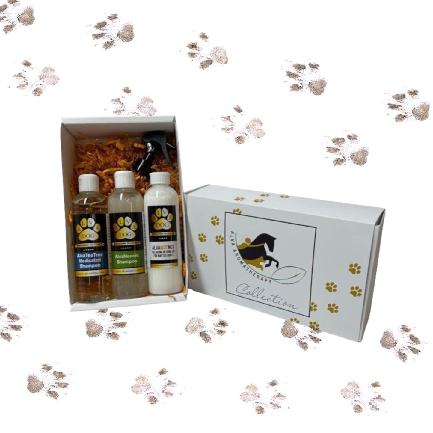 AlvaDog Discovery Packs