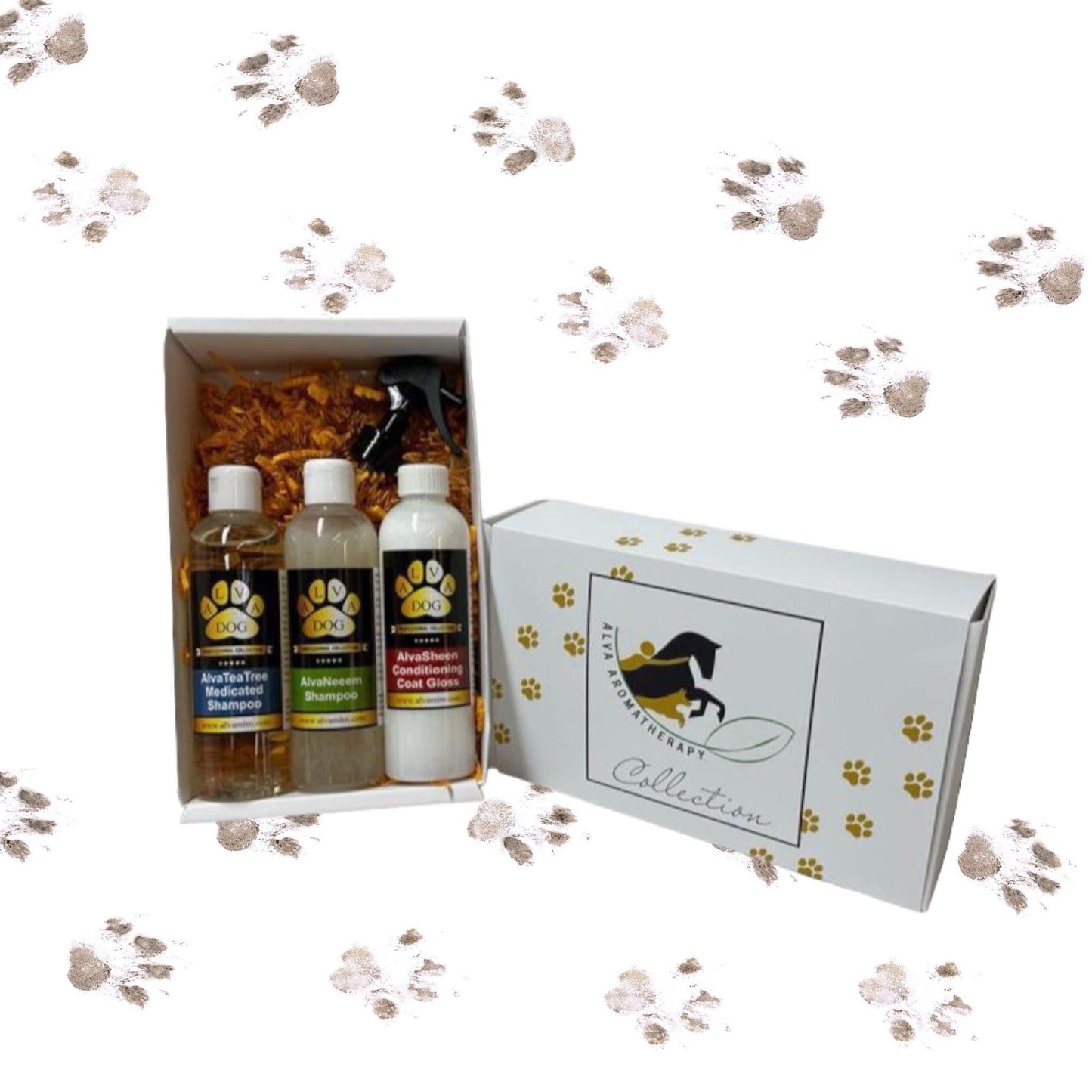 AlvaDog Discovery Packs
