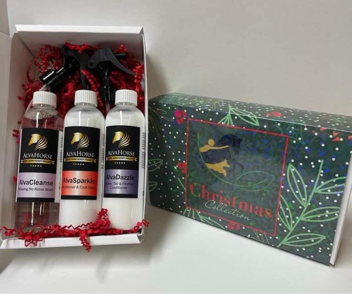 Christmas AlvaHorse Gift Pack