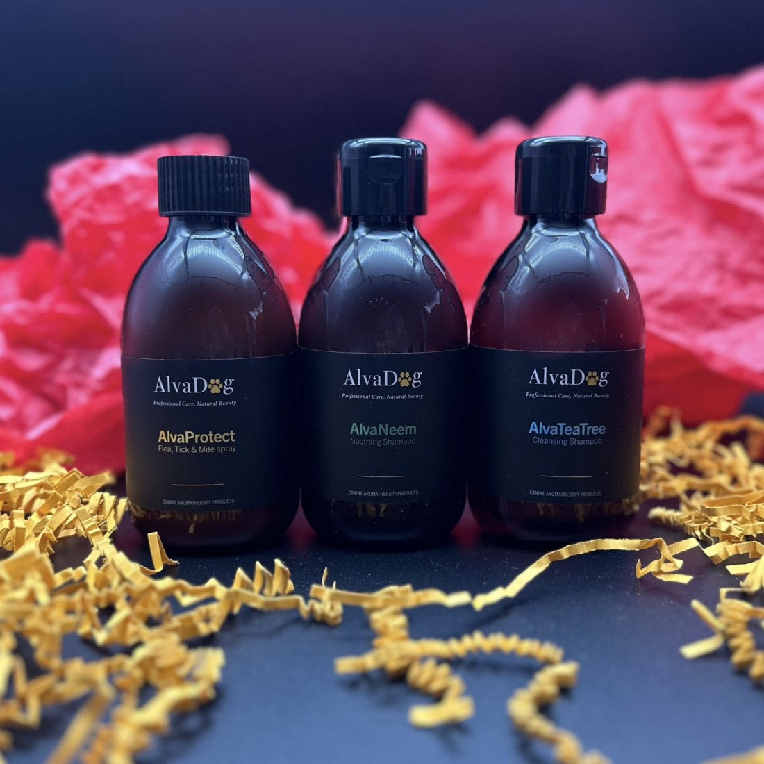 AlvaDog Discovery Packs