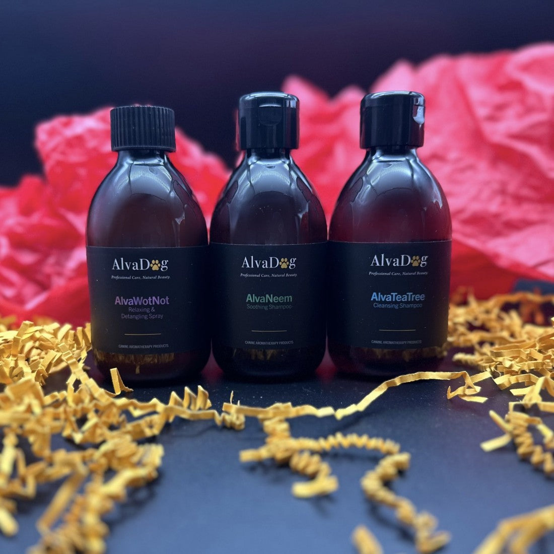 AlvaDog Discovery Packs