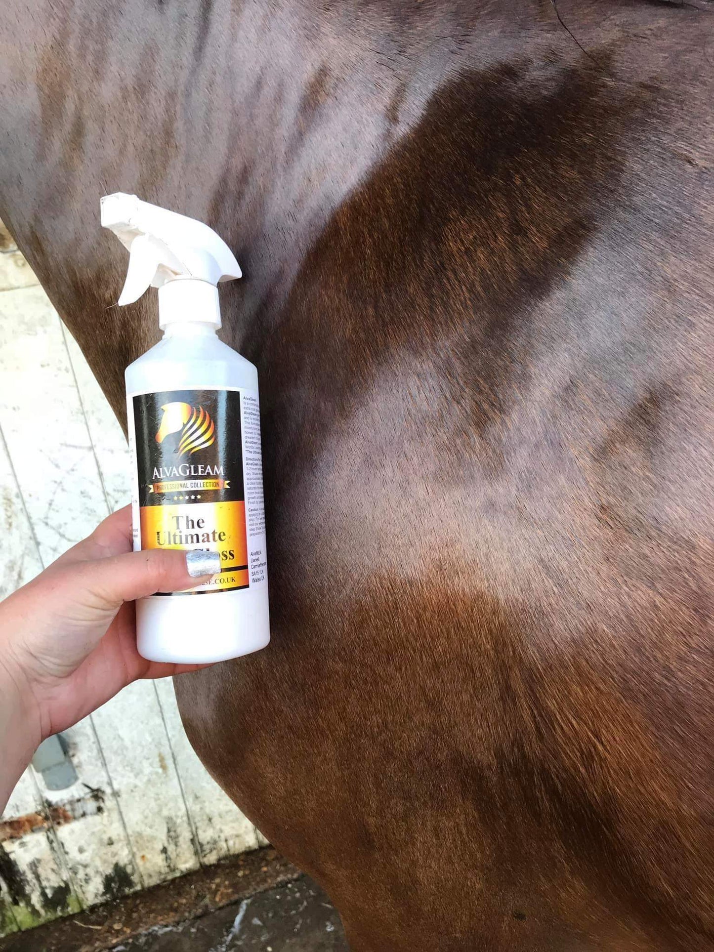 AlvaGleam Ultimate Coat Shine