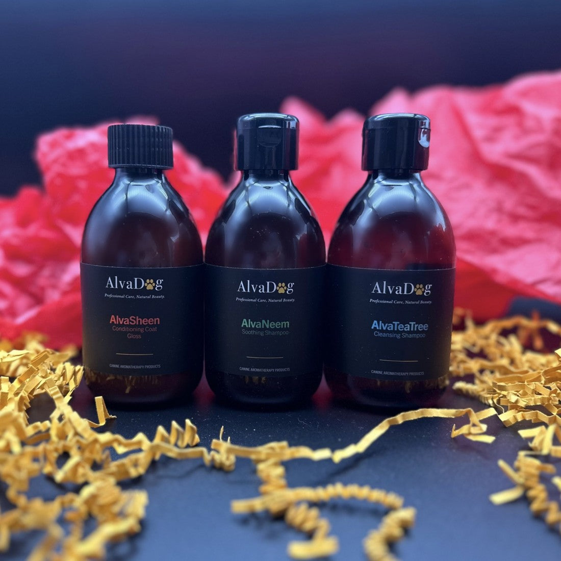 AlvaDog Discovery Packs