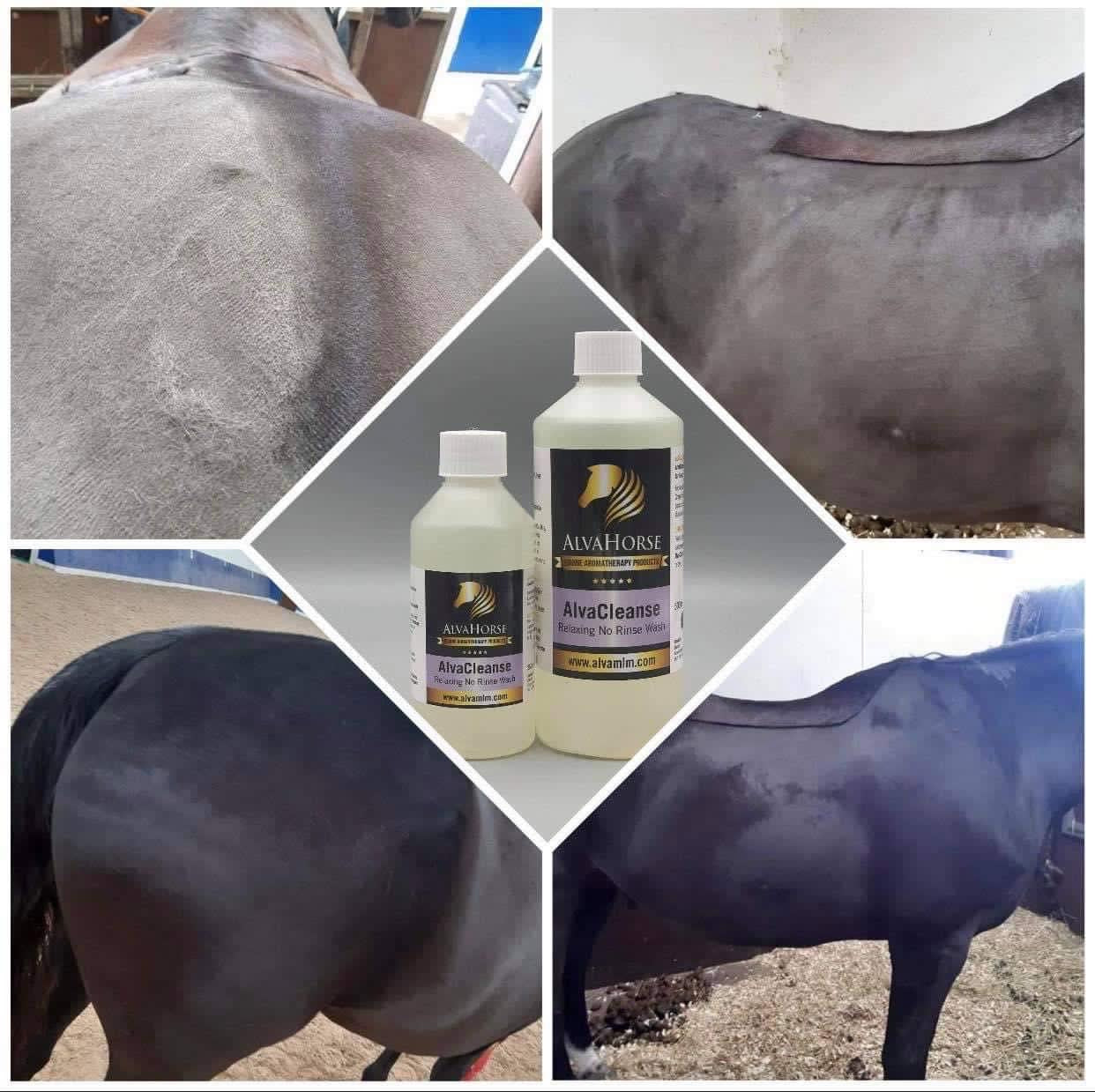 AlvaCleanse No Rinse Wash