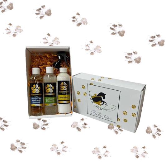 AlvaDog Discovery Packs